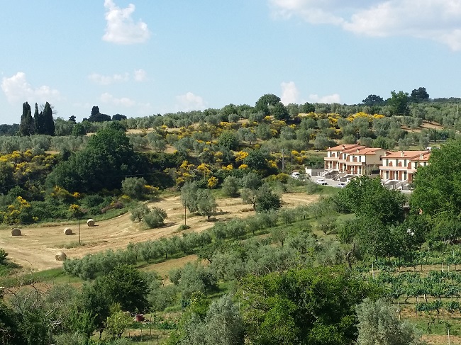 lotti edificabili montisi